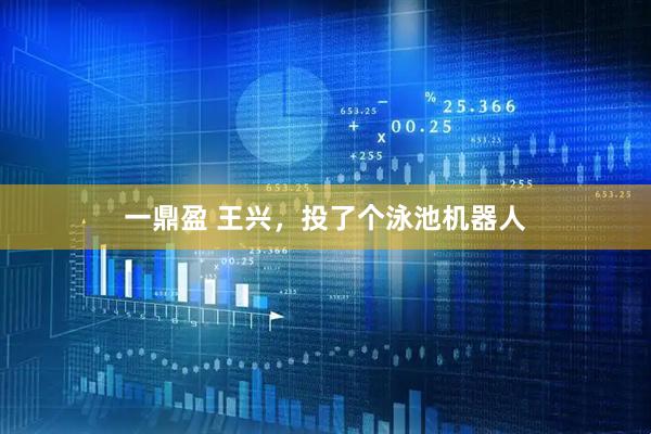 一鼎盈 王兴，投了个泳池机器人