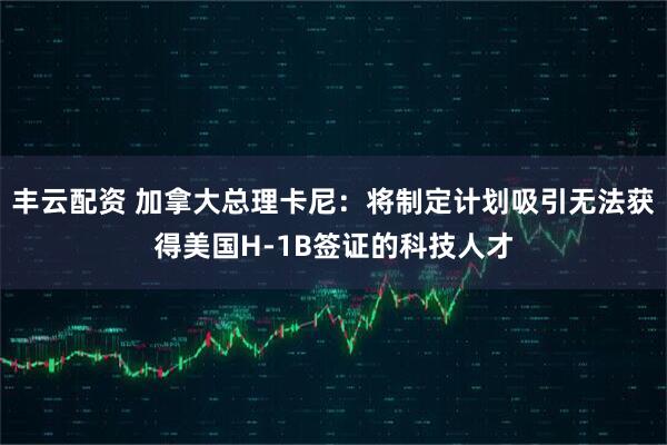 丰云配资 加拿大总理卡尼：将制定计划吸引无法获得美国H-1B签证的科技人才