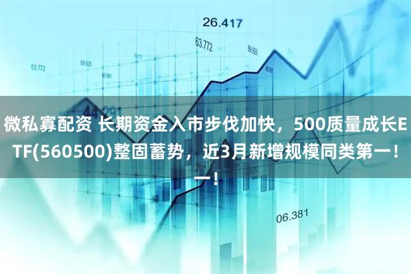 微私寡配资 长期资金入市步伐加快,500质量成长ETF(560500)整固蓄势,近3月新增规模同类第一!